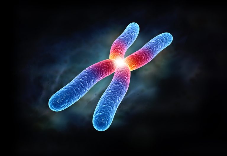 Cromozomi X si Y: Analiza Profunda a Elementelor Cheie din Genomul Uman