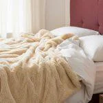 Design modern, atingere catifelată: Păturile Cocolino cu blăniță câștigă teren în preferințele românilor”